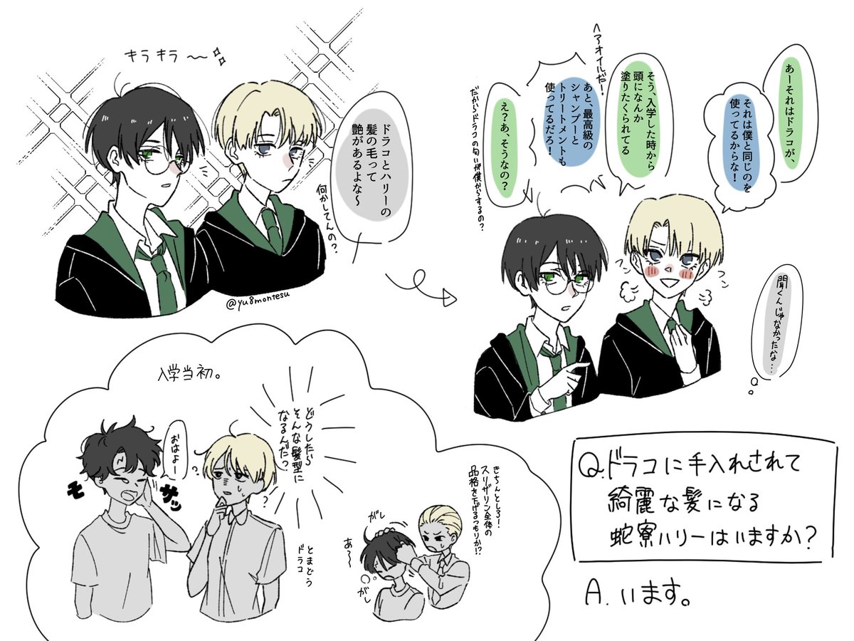 ドラコのおかげでサラツヤ髪になるハリー🐍 