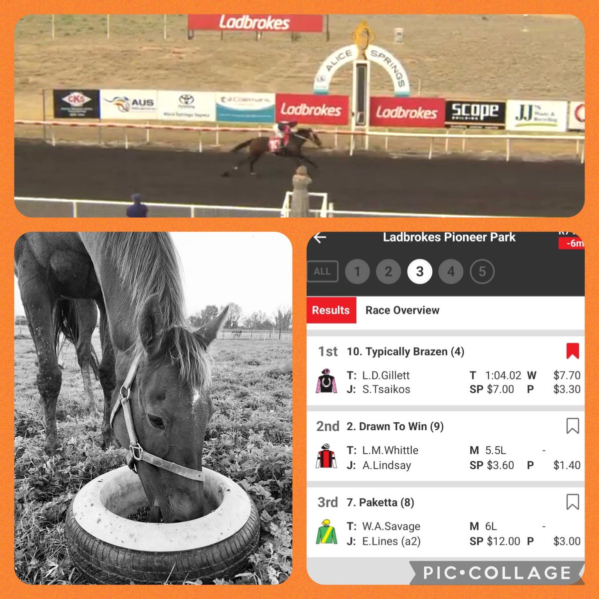 Highfield_CS's tweet image. Lovely update for our mare #Typify - now a dam of a winner 🥇#TypicallyBrazen having won today in Australia 🇦🇺, impressively winning by 5 1/2 lengths, over 5 1/2 furlongs…well done to #GillettRacing and connections 🙌 #keepsthedreamalive #thoroughbreds #breeding #racehorses 🐎