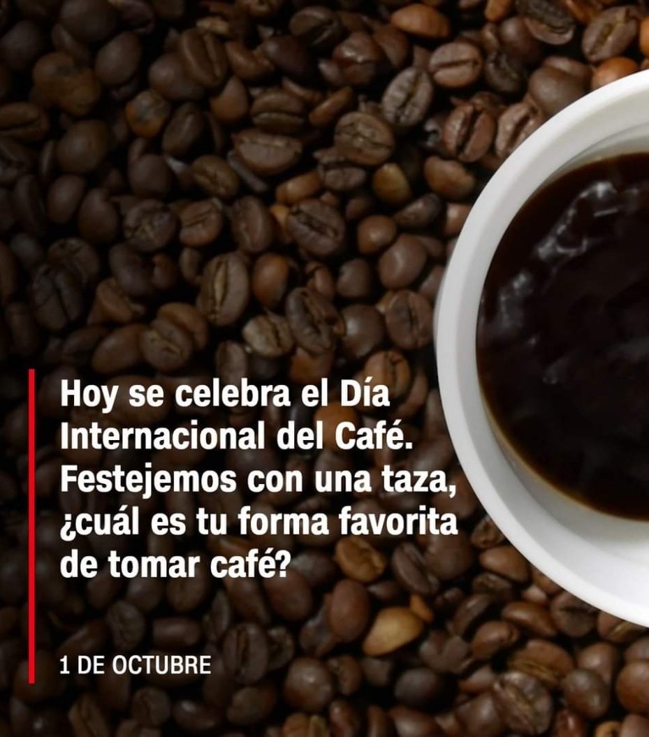 El 1 de octubre se celebra el #DíaInternacionalDelCafé, con el objetivo de rendir homenaje al café, una de las bebidas más consumidas y populares del mundo. Es una oportunidad para promover prácticas cafeteras sostenibles y para visibilizar a los productores de café en el mundo.