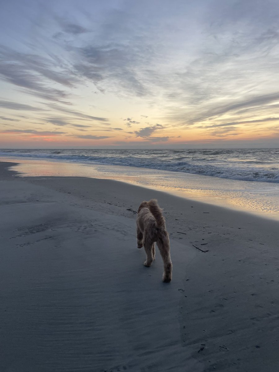 Gm 🌅 

Thankful for all the wonderful people I met this weekend! Web 3 is still very much alive and well!!