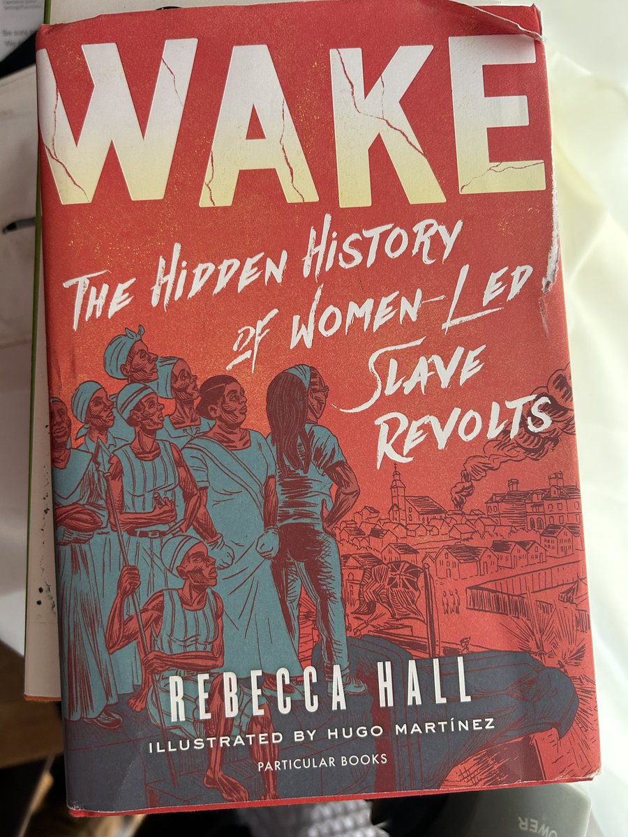 This book was everything. It talks about the role women played in slave revolts, how academia and legal systems have systematically silenced it, it is fantastic. And it’s a graphic novel making it a deeply visceral translation of experience

Read it plz and thnx xoxo