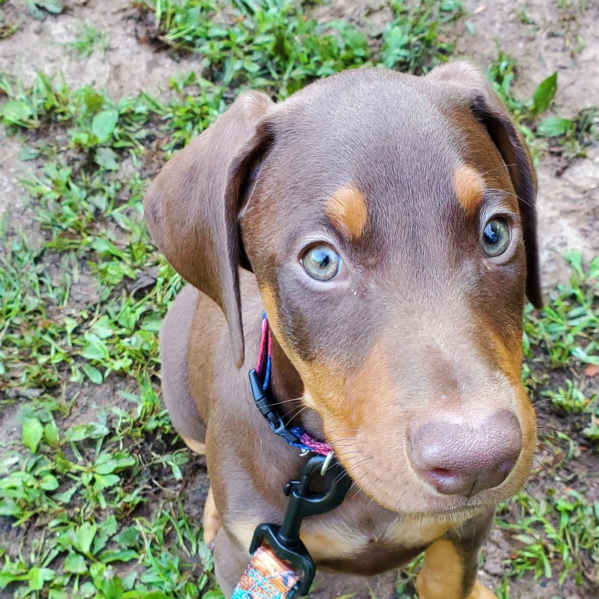 exitliquidity66's tweet image. #NewProfilePic