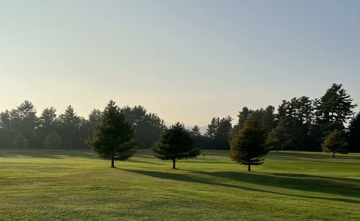 jar0d.eth tweet media