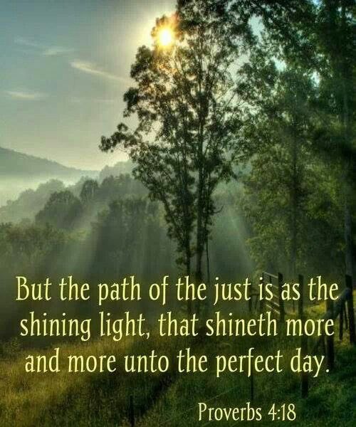 PatSeghel's tweet image. #InProcess