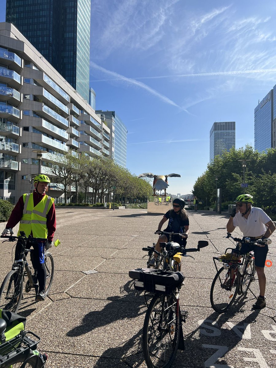 Ana-Maria De Araujo 🌿 tweet media