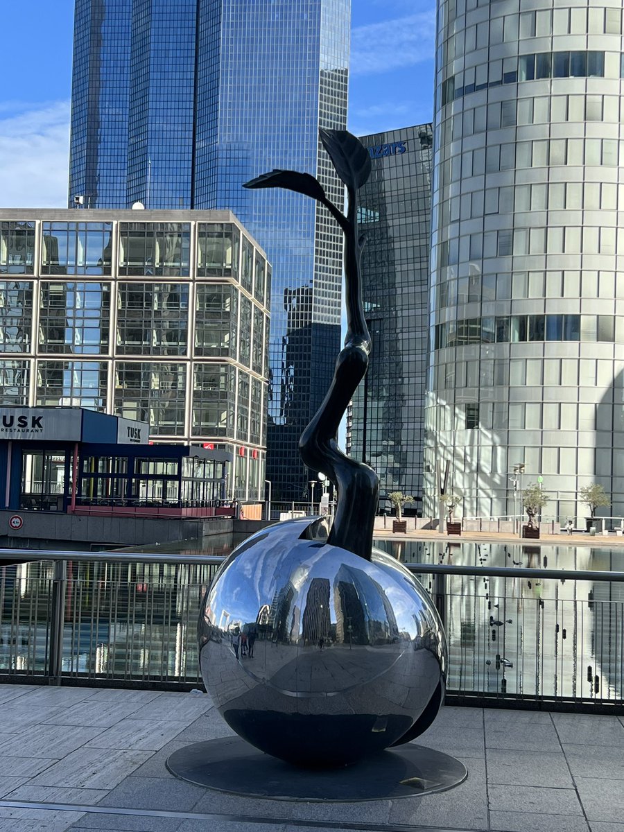 Ana-Maria De Araujo 🌿 tweet media