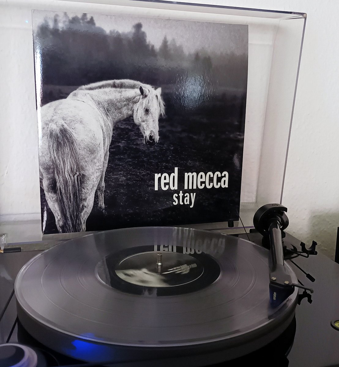 Hieronymus2001's tweet photo. Red Mecca - Stay (Massproduktion, 2023)
🔥
#RedMecca #Vinyl #Vinylrecord #NowSpinning #vinylcommunity #vinylcollection #np #Music https://t.co/ZwybP0wf4q