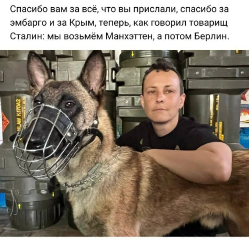 postolachka71's tweet photo. ⚡️Ага, попробуйте, не обосритесь.😬🤡😬 
- А намордник, по-моему, нужен друкой суке😆😆 https://t.co/4ffzKKicqU