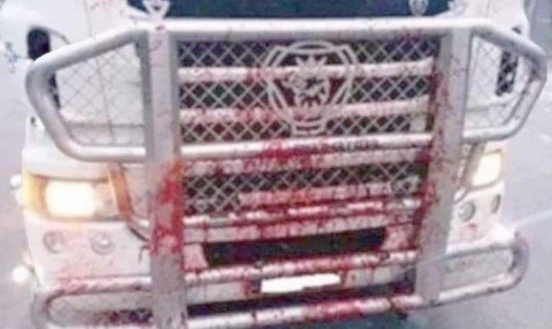 M_Nobody_77's tweet image. Voor de mensen die de A12 op moeten, het kan nu.
De baan is weer vrij.👍👍
#ExtinctionRebelion