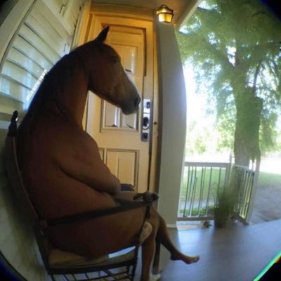 pebbbsssss's tweet photo. #NewProfilePic https://t.co/0Y2FIJ7k3w
