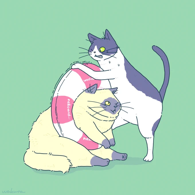 猫と、浮き輪 #猫と、