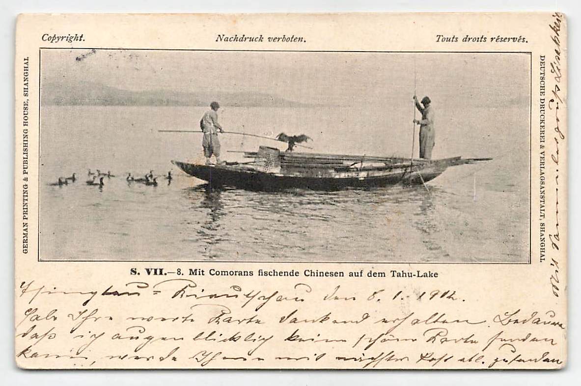 AVPostalHistory's tweet photo. Another nice #postcard from my UPCOMING #stamps #auction on Oct 6:
#China: 1902, "Chinese fishing with #Comorans on Lake #Tahoe near #Shanghai. #fishing #philately #philatelie #ansichtkaart #Ansichtskarten #Boat #Ship
https://t.co/W3MCiFwyu2 https://t.co/7CVez8gTXe