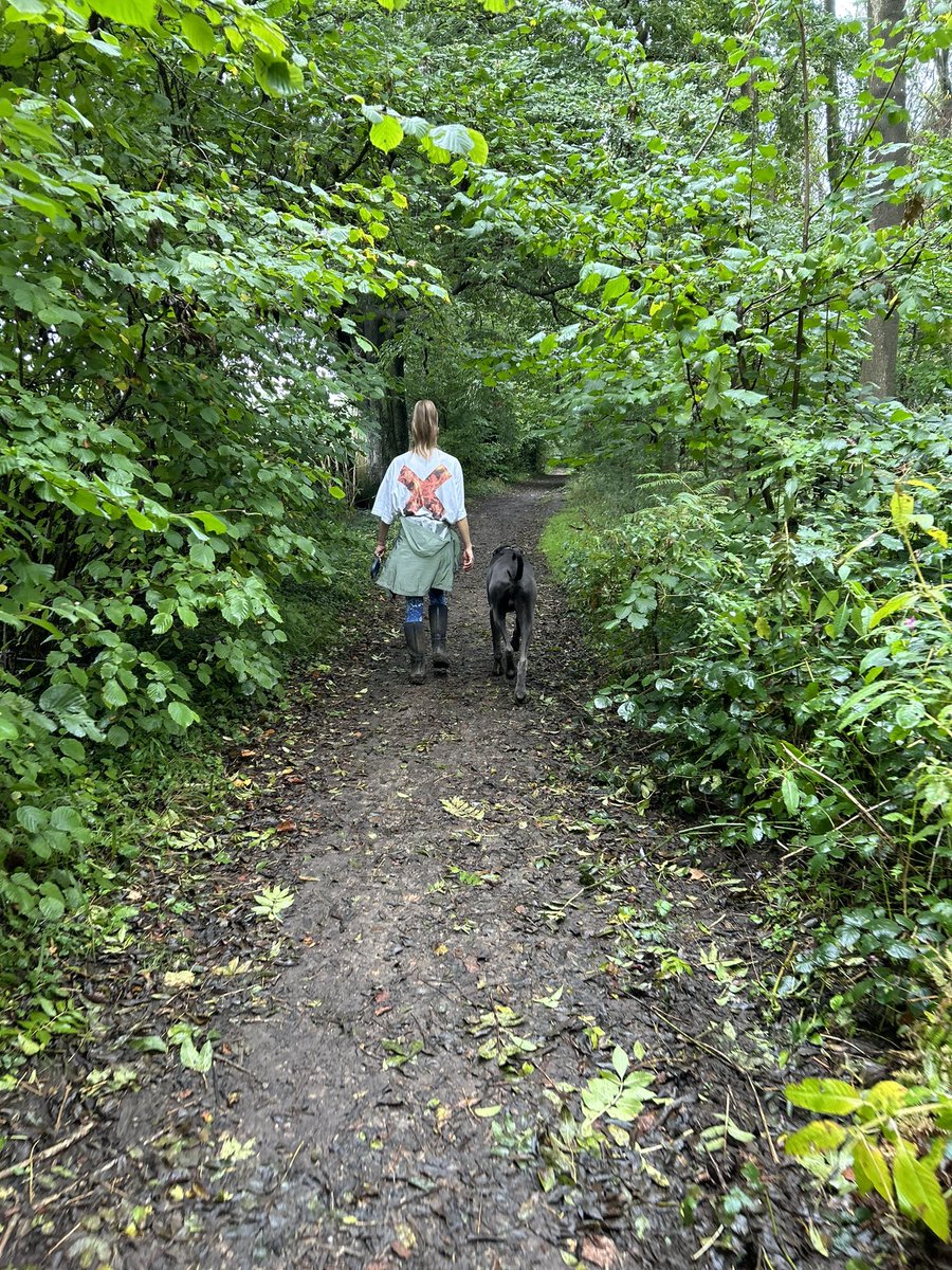 Tom Blackmore tweet media