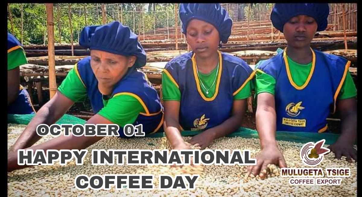 Mulugeta Tsige Coffee (@mulugeta_tsige_) on Twitter photo 