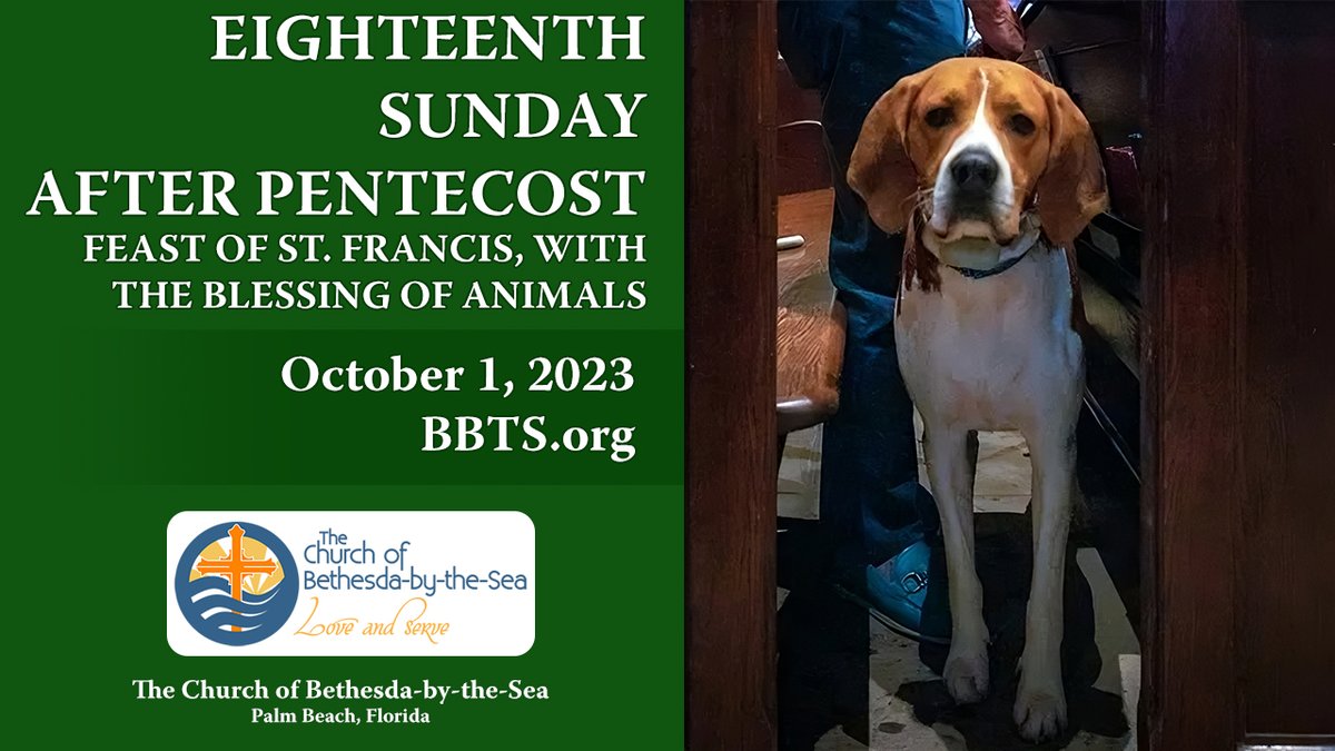 Join us this morning at 10:00 a.m. for our Sunday worship livestream with the Blessing of Animals. You can watch the service on our website or YouTube page at the links below. The livestream will begin at approximately 9:45 a.m. bbts.org/worship/ | youtube.com/bbtschurch