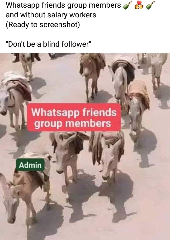Rumiraja23's tweet photo. @jakhar_murtaza (liar bad-ikhlaaq) 
🚫🎯 Whatsapp friends group members and without salary workers 
BPS-18 #MSDP #BISP #USAIDPAKISTAN #karachi #jacobabad #Sindh #AwamiAwaz #LeaderTv #KarachiPressClub @Hizbullahsolagi (ready to screenshot) https://t.co/HC2YQ5kal8