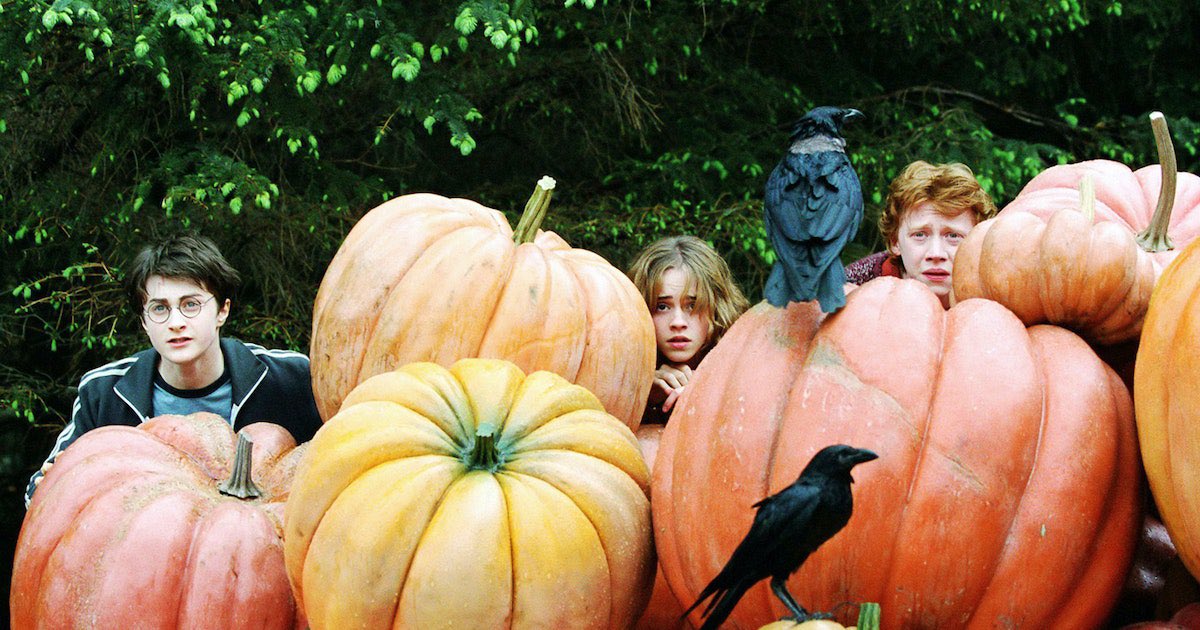 October is here! 🎃🍁🍂