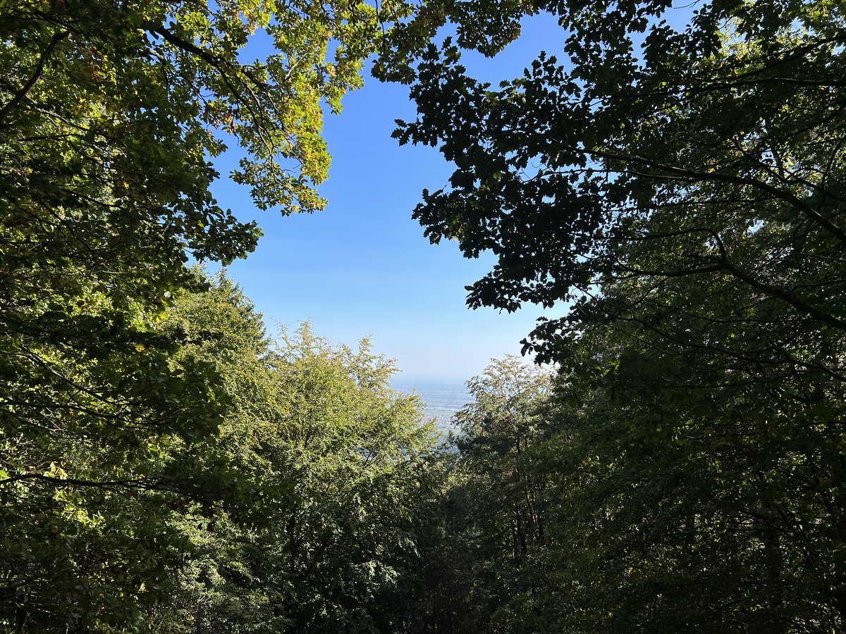 FMR_mixmaster's tweet photo. Heute wandern auf die Kalmit. https://t.co/H2imVKucBK
