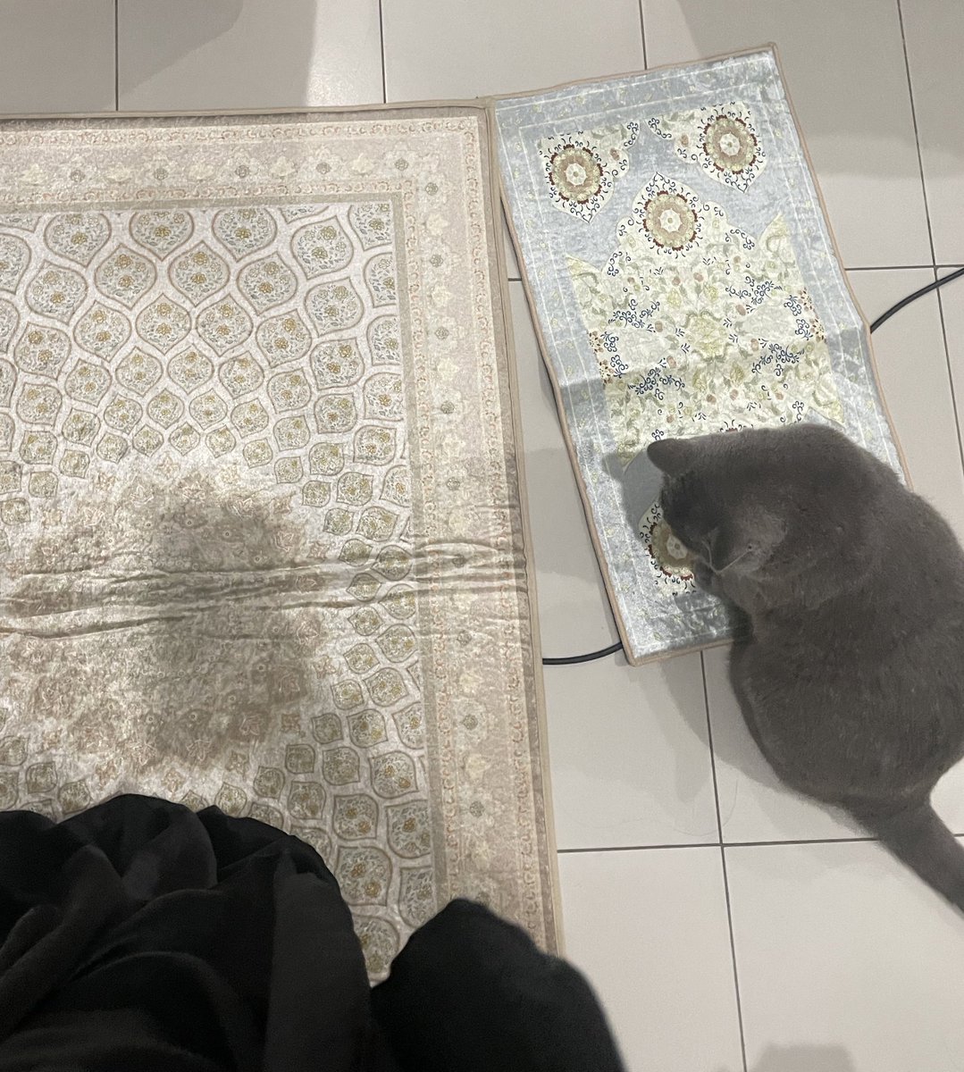 tattyhassan's tweet photo. “Aik, nape sejadah aku kecik, dia punya besar” https://t.co/NBJdePRf4u