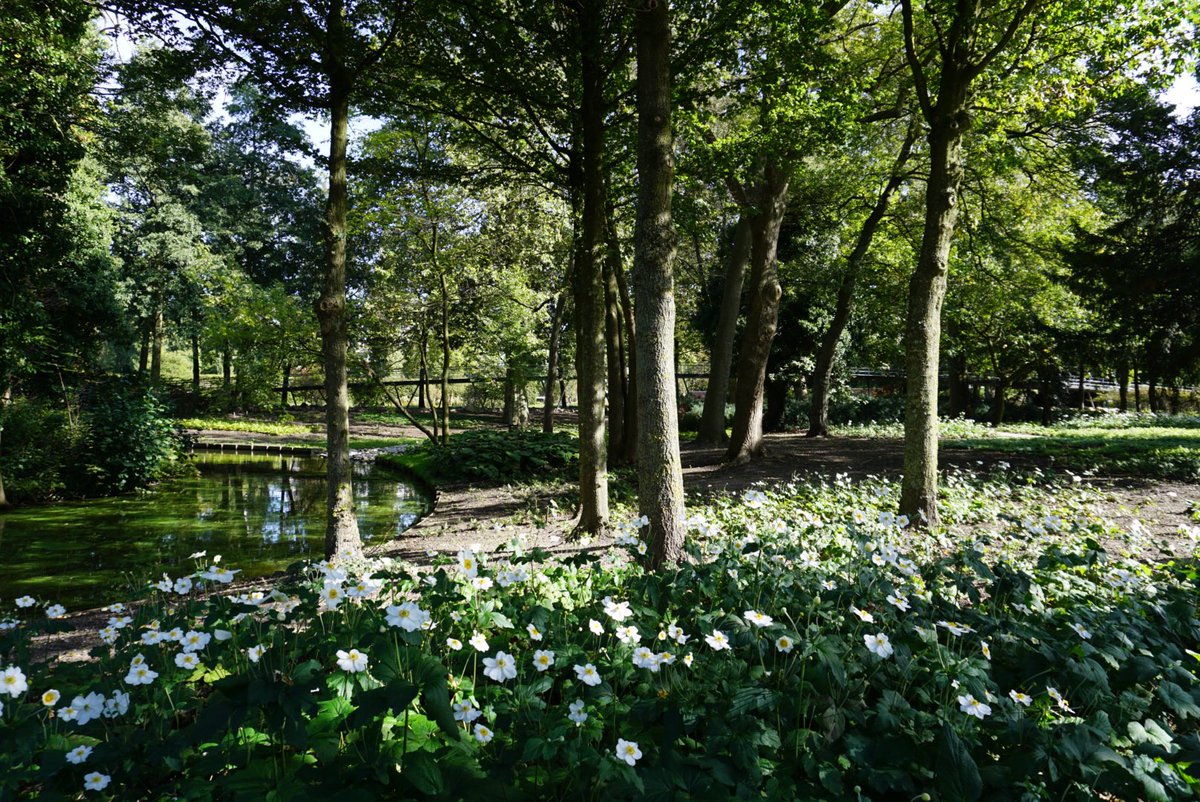 ol2016's tweet image. Vanmiddag naar #aiweiwei tentoonstelling geweest maar het #museumpark ziet er ook prachtig uit. #rotterdam Wordt wel eens tijd om dat plein voor #depot nu eindelijk is af te maken zonder hekken.