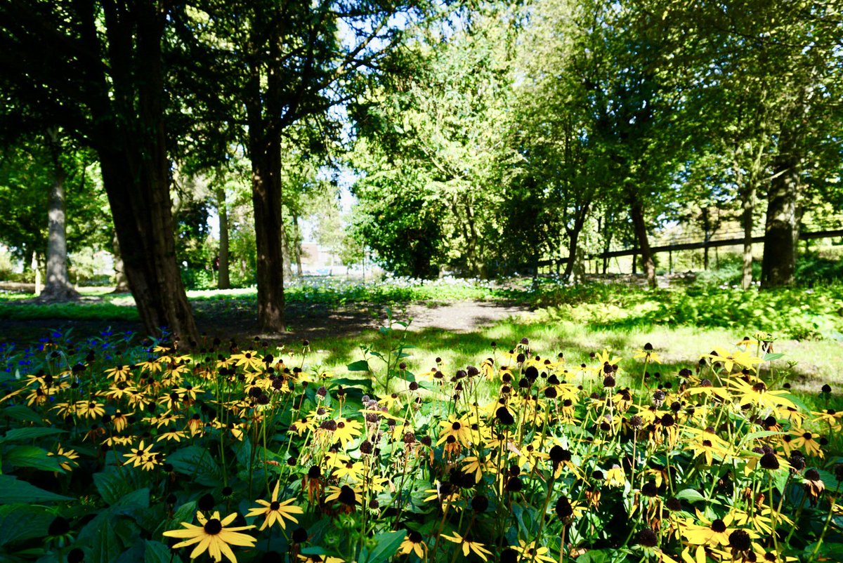 ol2016's tweet image. Vanmiddag naar #aiweiwei tentoonstelling geweest maar het #museumpark ziet er ook prachtig uit. #rotterdam Wordt wel eens tijd om dat plein voor #depot nu eindelijk is af te maken zonder hekken.