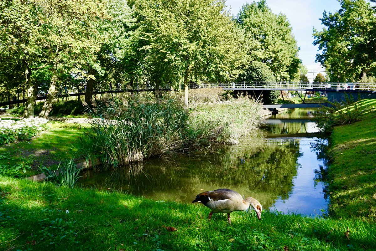 ol2016's tweet image. Vanmiddag naar #aiweiwei tentoonstelling geweest maar het #museumpark ziet er ook prachtig uit. #rotterdam Wordt wel eens tijd om dat plein voor #depot nu eindelijk is af te maken zonder hekken.