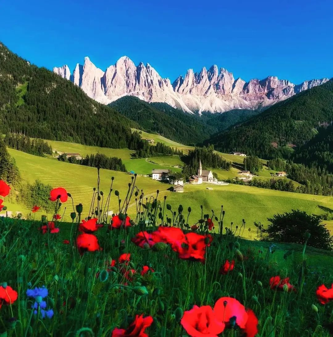 Amr10062's tweet photo. 📍Val di Funes 🇮🇹

#Italy #Bolzano #X #sundayvibes https://t.co/PtTdrgF8iR