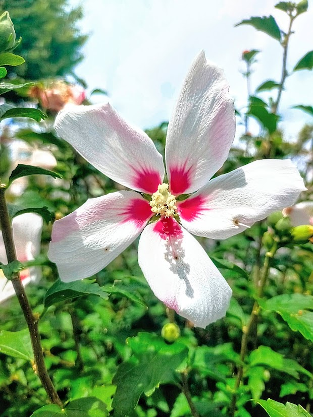 おはようございます🌈📸