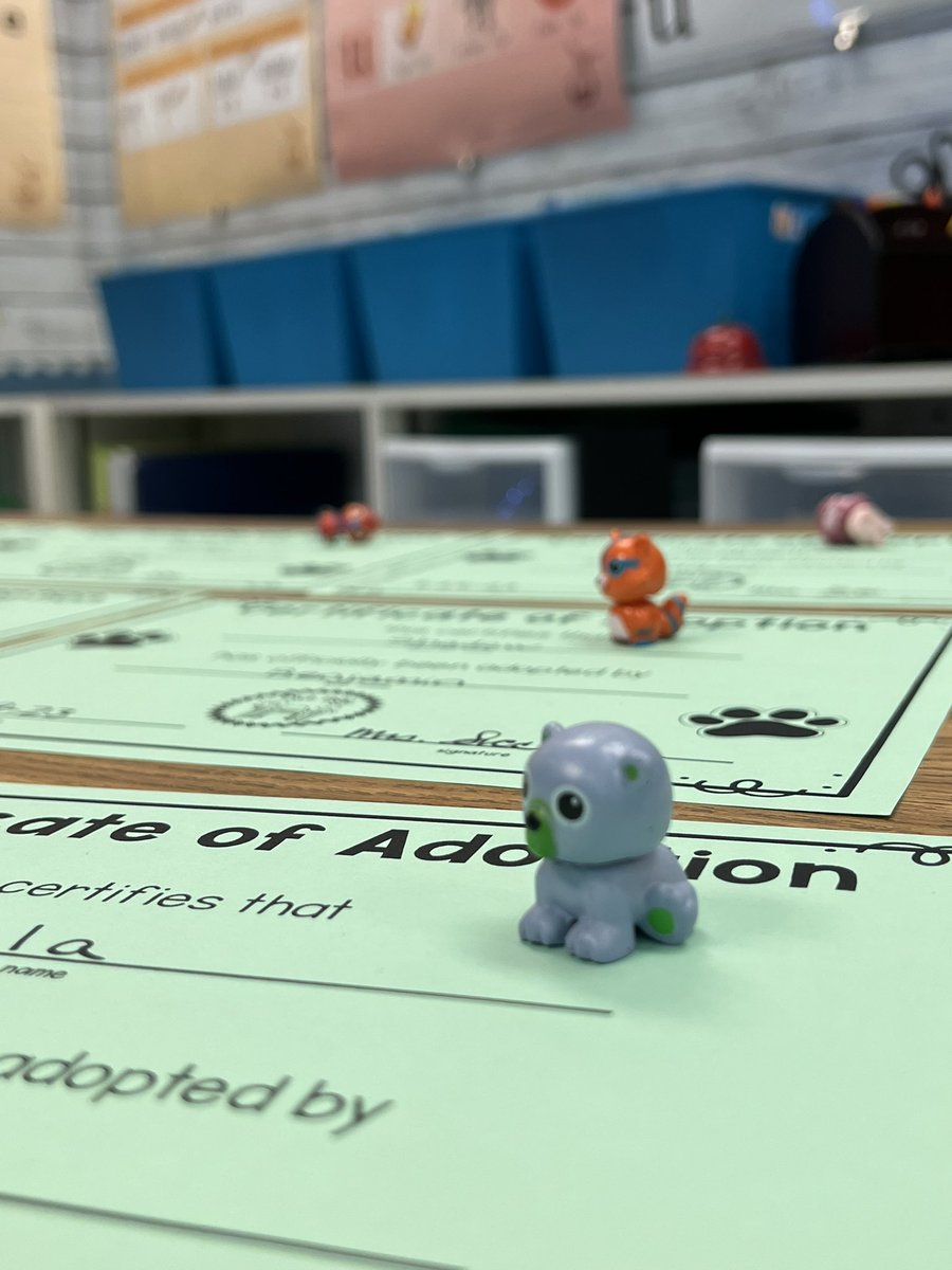 MayaKatie5's tweet image. Desk Pet Adoption Day in Mrs. Svec’s classroom! Loved that one of the pets was named after a classmate that who is no longer in the class. #classroomcommunity @LPEPanthers