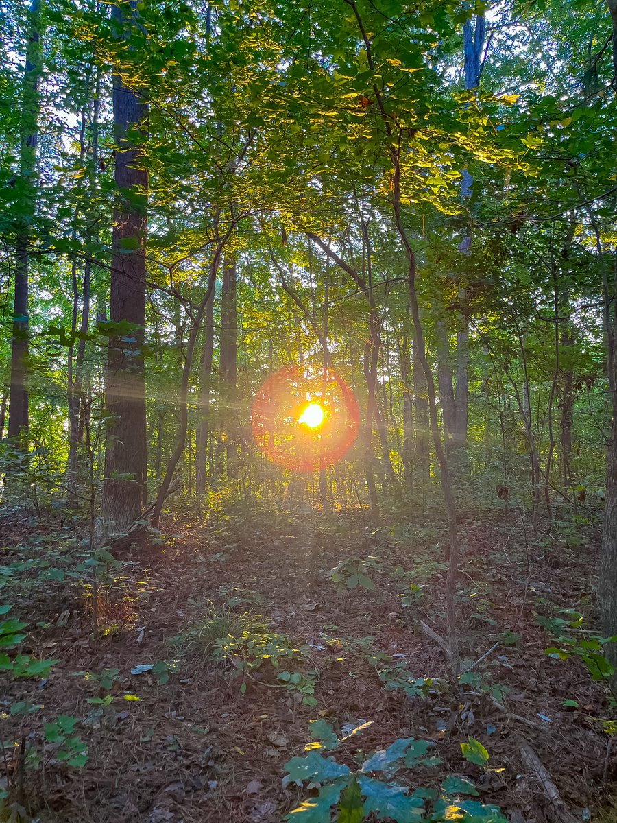 I went for a trek in the woods this morning to prepare for a photo adventure next weekend.

#photographer
