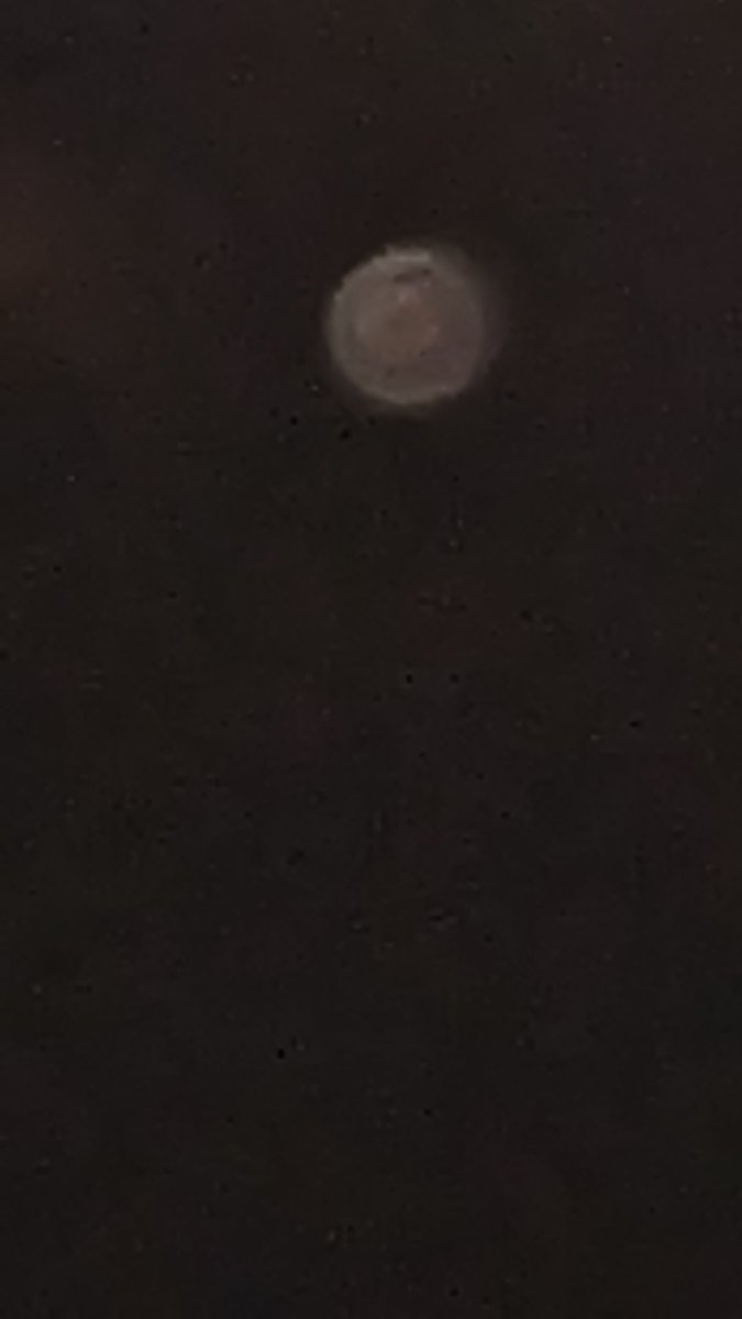 isharmaneer's tweet image. Venus! Clicked on my android phone 
#Venus #Androidphonecamera