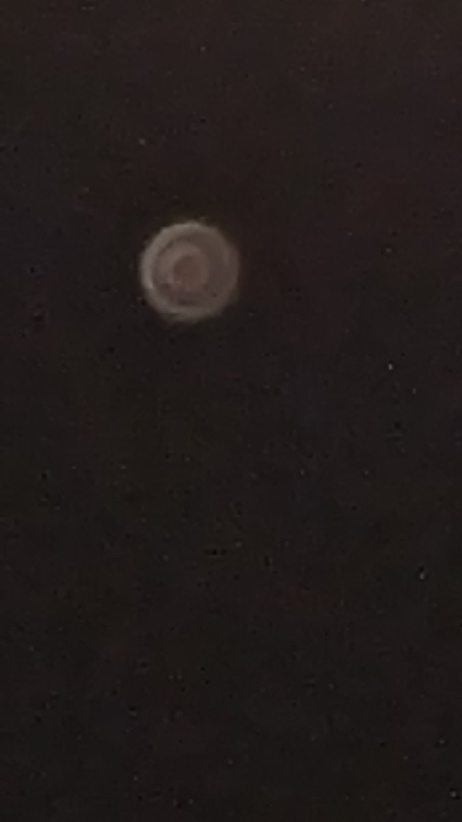isharmaneer's tweet image. Venus! Clicked on my android phone 
#Venus #Androidphonecamera