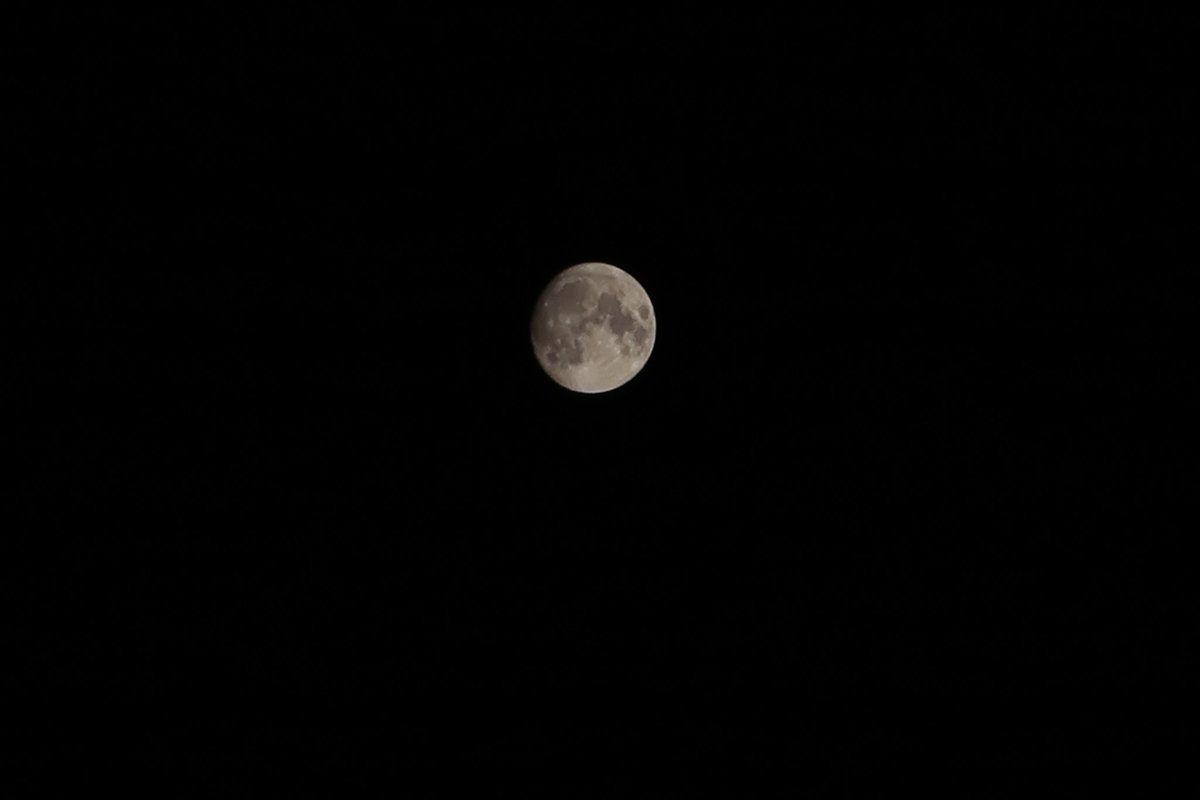 sil_viaaaaa's tweet photo. @marcoapico you are my special Moon #moon#love#youonlyyou https://t.co/zecEn6tjnE