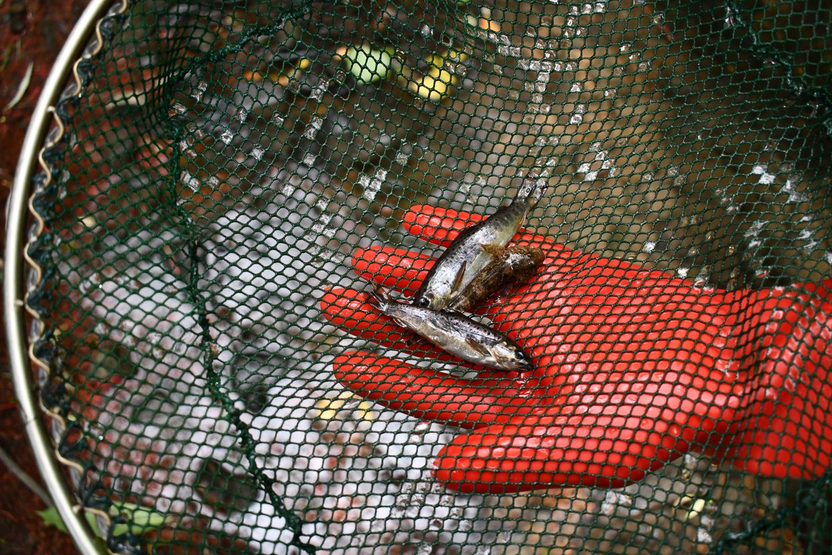 Ralph Eikenberg tweet media