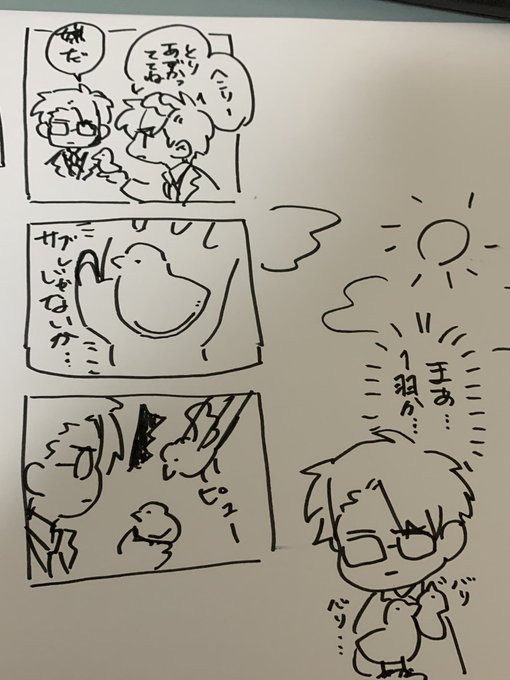5と6