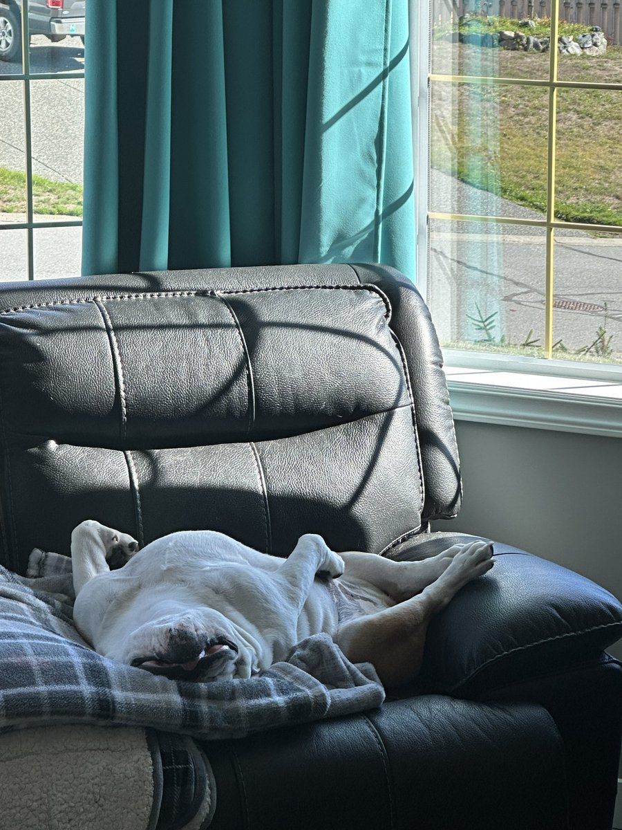 Top Shelf Bourbon tweet media