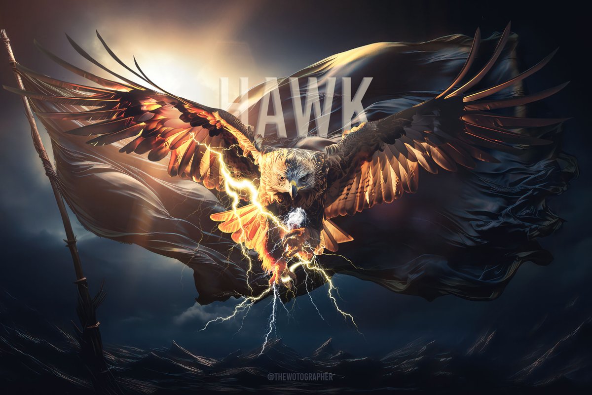 DaughtersOfS's tweet photo. @WoTtober
Day 1: Hawk
Digital Composite
#TheWheelOfTime #TwitterOfTime #WoTtober #Seanchan https://t.co/oesMNvMGPP