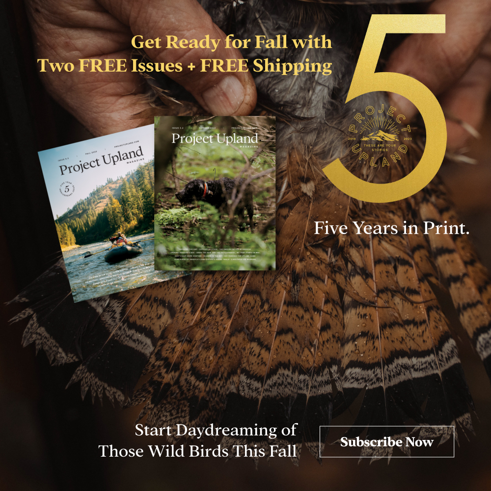 Project_Upland's tweet image. Last Day: Get 2 FREE Issues - mailchi.mp/620a1cc87e9b/l…