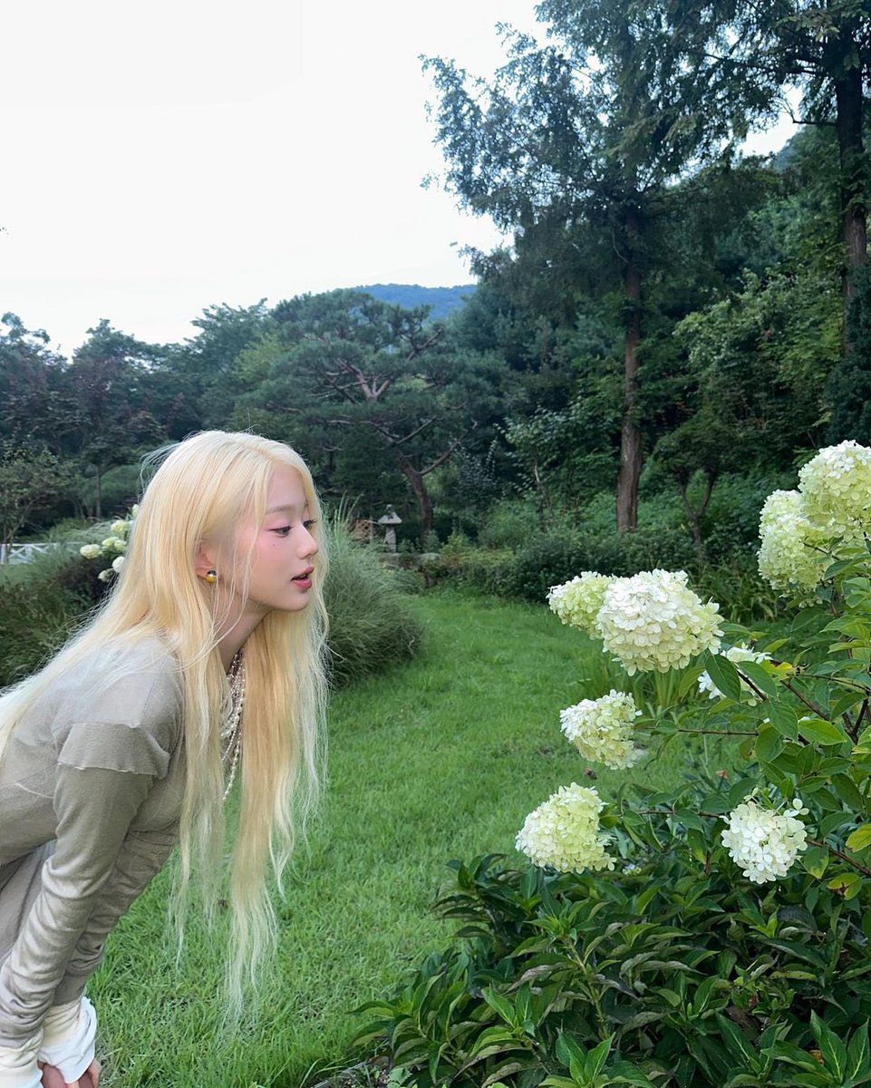 honeymius's tweet photo. 🧚🏻‍♀️ ༉‧₊˚. https://t.co/8NzVVltEk3