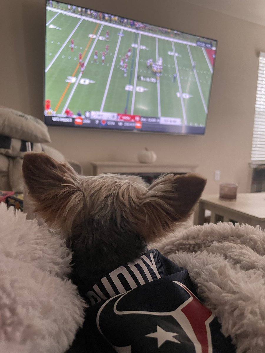 jenfelldown1011's tweet photo. Buddy the Elf what’s your favorite color? #houstonbattlered ! 
Buddy the Elf is sporting his Texans jersey for the second Sunday in a row! Let’s goooo! #Texans #houstontexans #NFL  @DRyans59 @CJ7STROUD @JJWatt https://t.co/5NyVlG2uYB