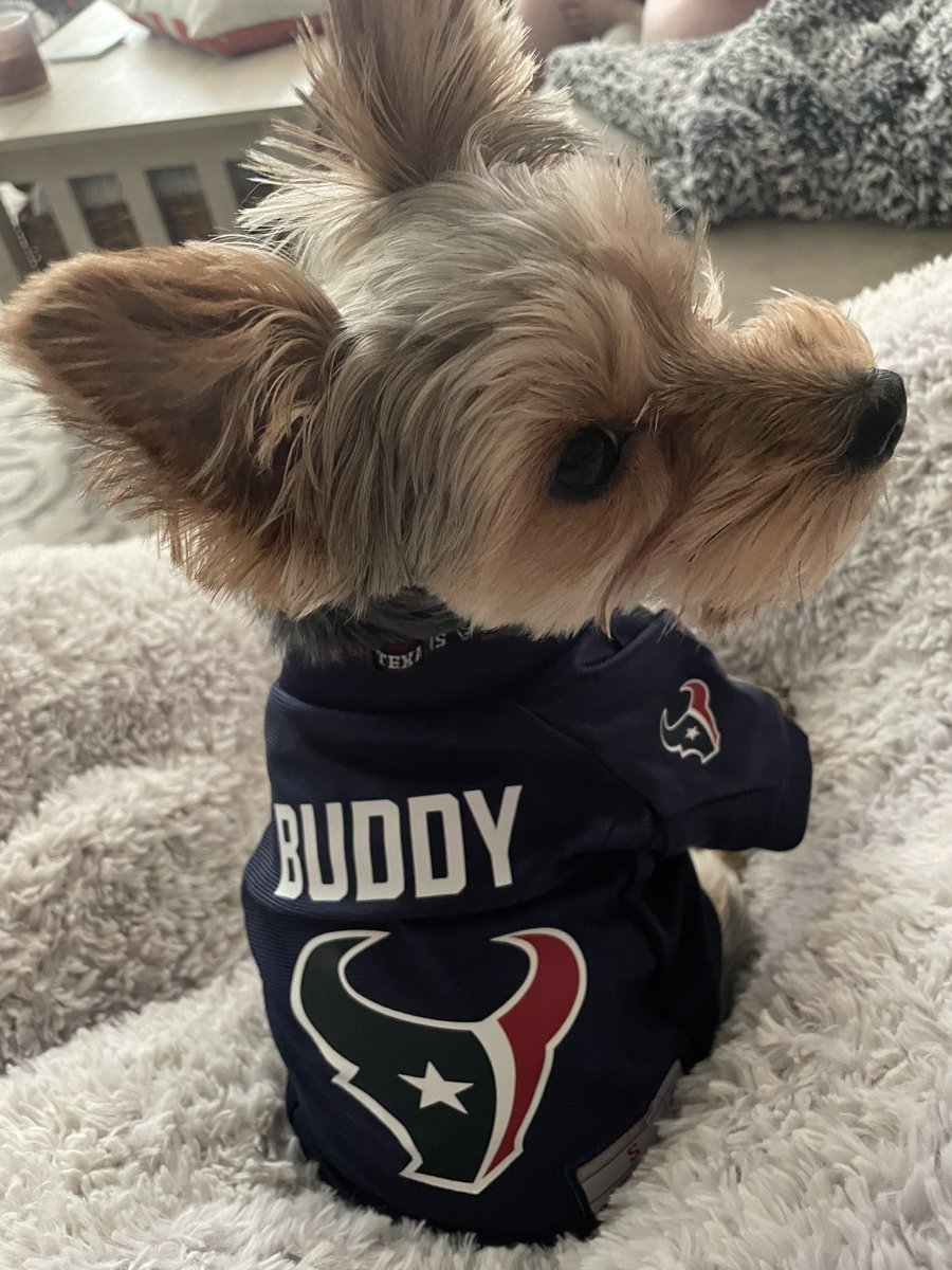 jenfelldown1011's tweet photo. Buddy the Elf what’s your favorite color? #houstonbattlered ! 
Buddy the Elf is sporting his Texans jersey for the second Sunday in a row! Let’s goooo! #Texans #houstontexans #NFL  @DRyans59 @CJ7STROUD @JJWatt https://t.co/5NyVlG2uYB