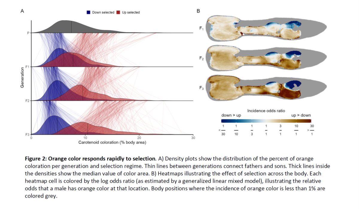 Judith Mank tweet media