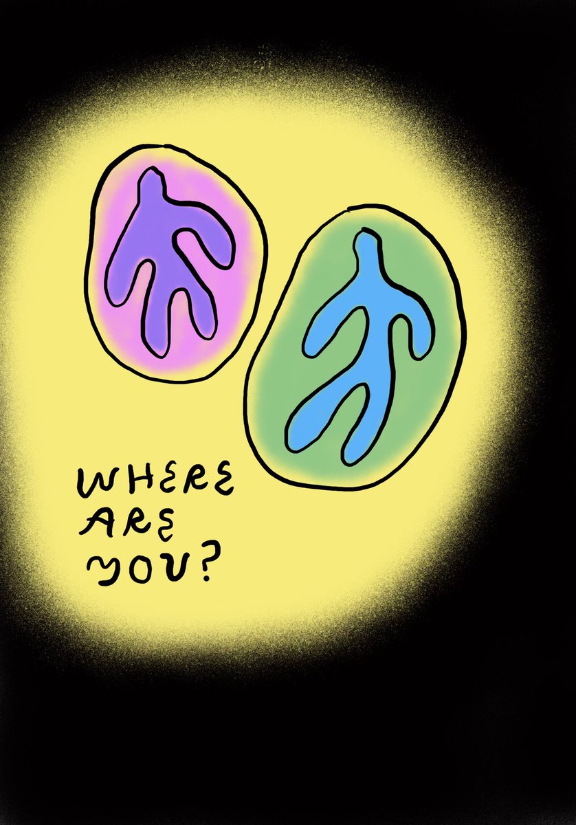 corbinlamont's tweet photo. ephemeral feelings https://t.co/1M5BWnGkQN