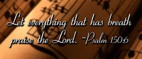 laurelsmusic5's tweet image. #JustSing