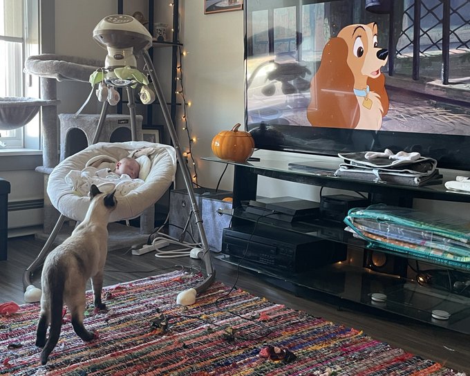 I may be tired, but did the movie leap out of the tv? https://t.co/3rxXw19l5x