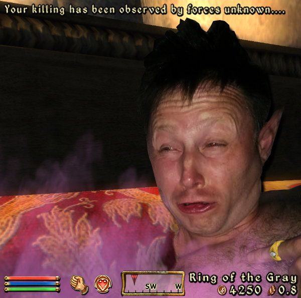 My Oblivion character being woken up while having detect life equipped
