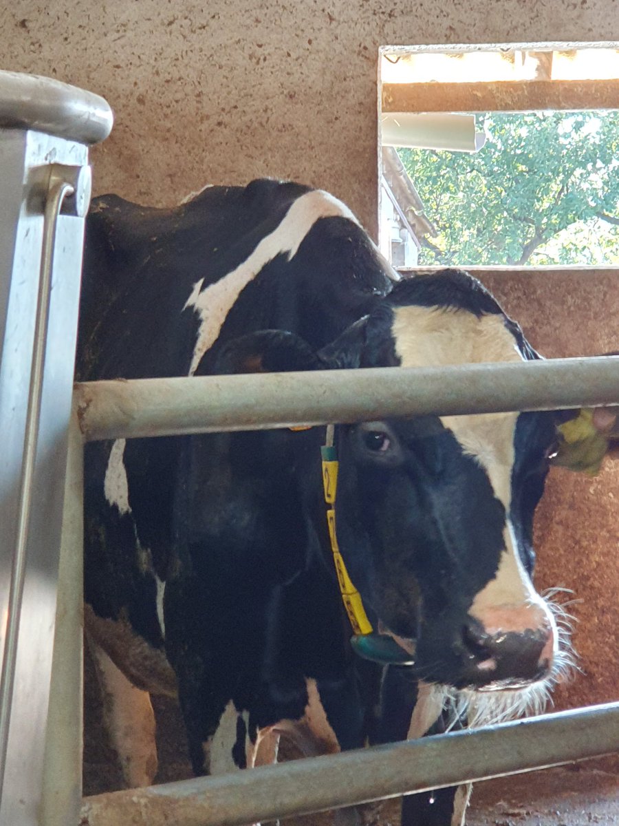 sergiolmon's tweet image. Fent noves amigues  !!!! 😁 #rupit