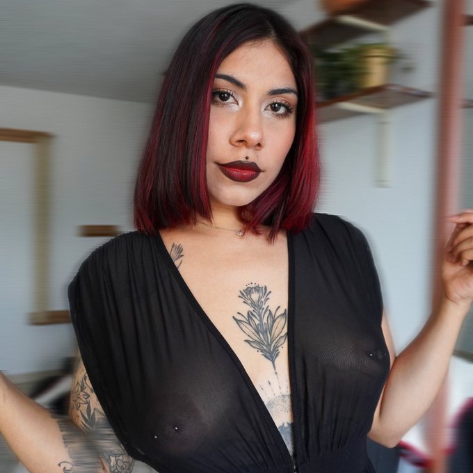 I love my new haircolor🔥 https://t.co/Sma9NM6bq5<a href="/tag/femdom"class="tags"><span>#femdom</span></a><a href="/tag/peg"class="tags"><span>#peg</span></a><a href="/tag/streamer"class="tags"><span>#streamer</span></a><a href="/tag/straopn"class="tags"><span>#straopn</span></a>