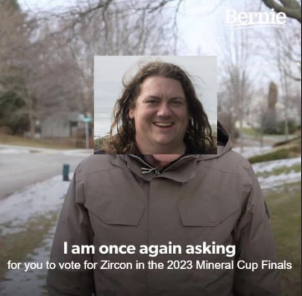 I am once again asking for you to vote for Zircon in the #mincup2023 Finals. 

mineralcup.org/2023/campaigns…

For years this prize has been just out of sight for Zircon, but I feel strongly this is our year, and I and my Fabio hair are asking you to vote #teamzircon in 2023.