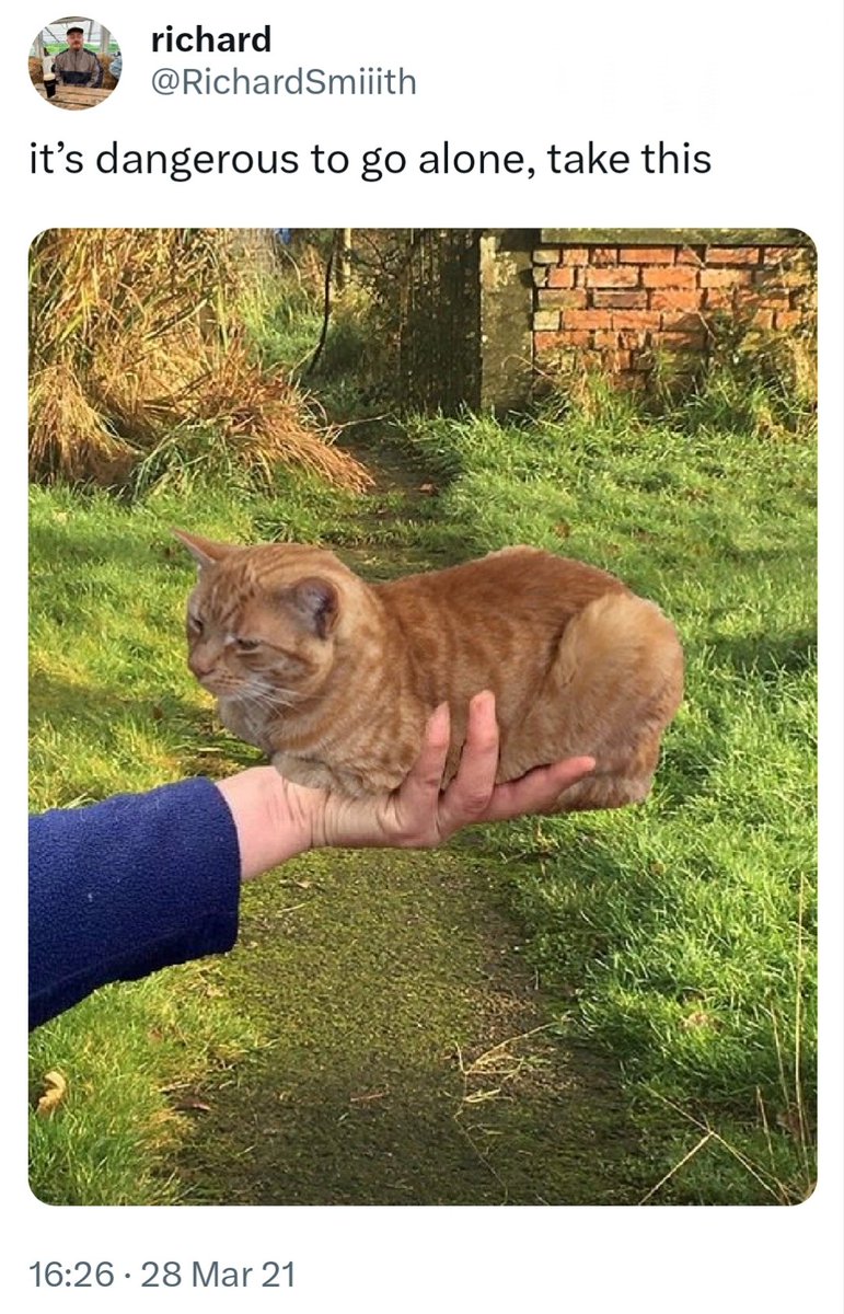 Waldo Butters tweet media